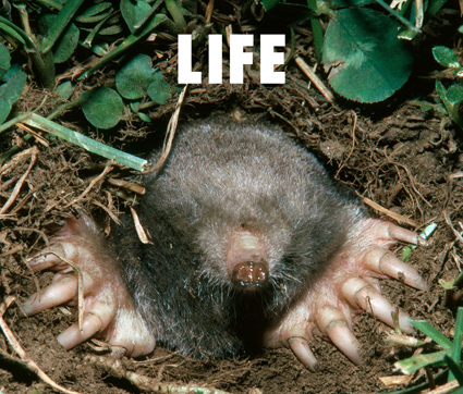 [LIFE]通常盤AICL2720.jpg
