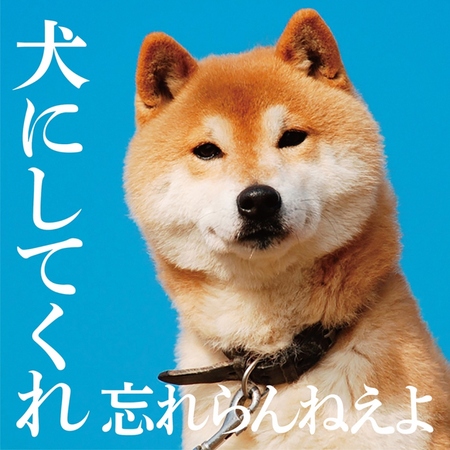 「犬にしてくれ」ジャケ写　（c）蔵之助 web.jpg