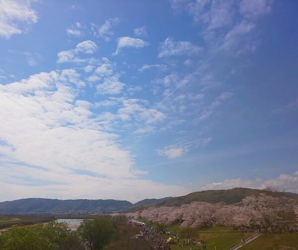 DSC_0125.jpg