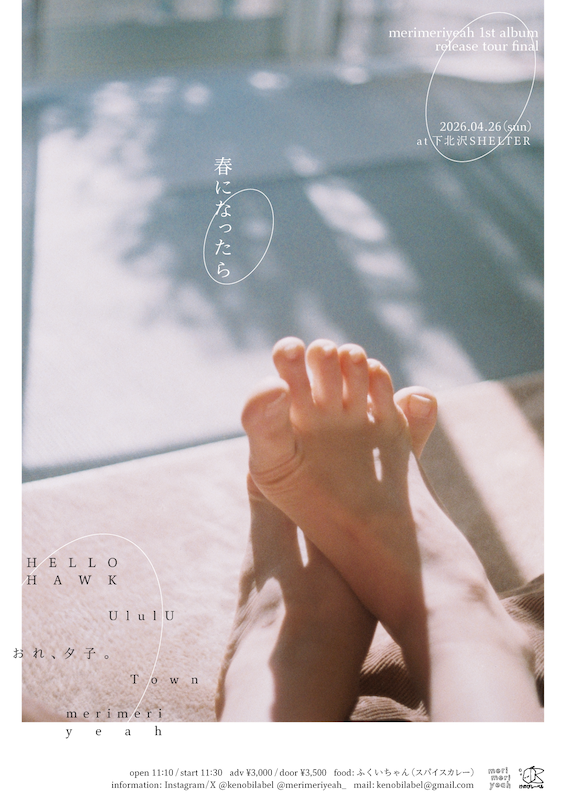 merimeriyeah_ツアーファイナルフライヤー.PNG