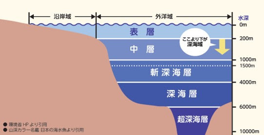 いきものディスカバリー通信vol 8 深海調査 水中ドローン をご紹介 ニュース Rooftop