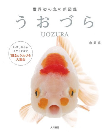 ちょっと笑える魚たちの真正面に釘付け！ 世界初の魚の顔図鑑『うおづら』発売！ - ニュース | Rooftop