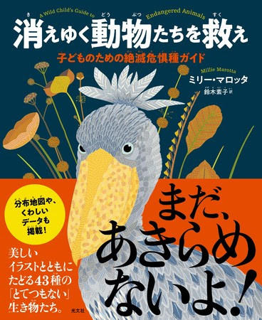 絶滅危惧動物図鑑 消えゆく動物たちを救え 発売 ニュース Rooftop