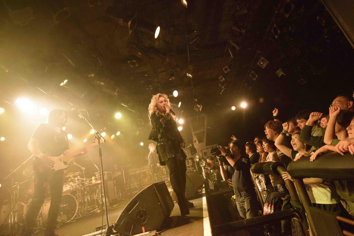 PERSONZ　ROAD TO 武道館FINAL　5枚組 PERSONZ ROAD TO 武道館FINAL 5枚組 PERSONZ ROAD TO 武道館