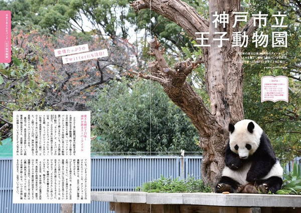 かわいすぎる の声が続々 Snsでも大反響 日本で会えるパンダ大集合 パンダぴあ 重版決定 22年1月11日 Biglobeニュース