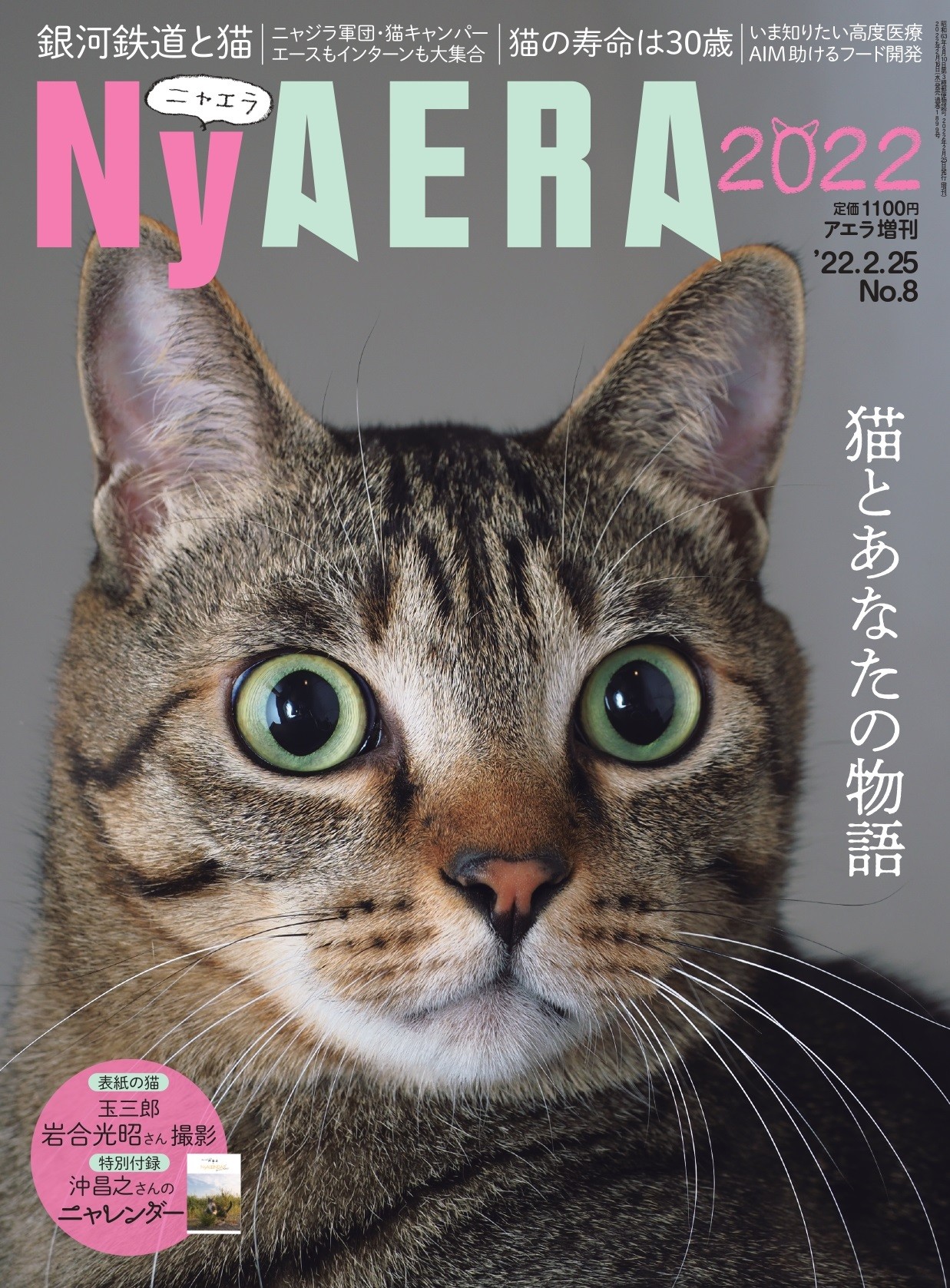 猫をこよなく愛する皆さまへ Aeraが一冊まるごと猫化 Nyaera ニャエラ 発売 ニュース Rooftop