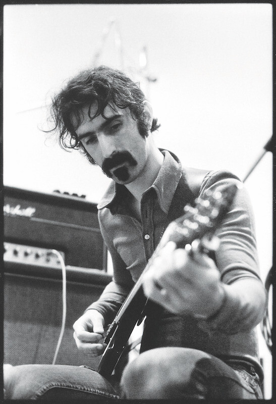 FrankZappa_FunkyNothingness_Guitar_byJohnWilliams_Photo by John Williams.jpg