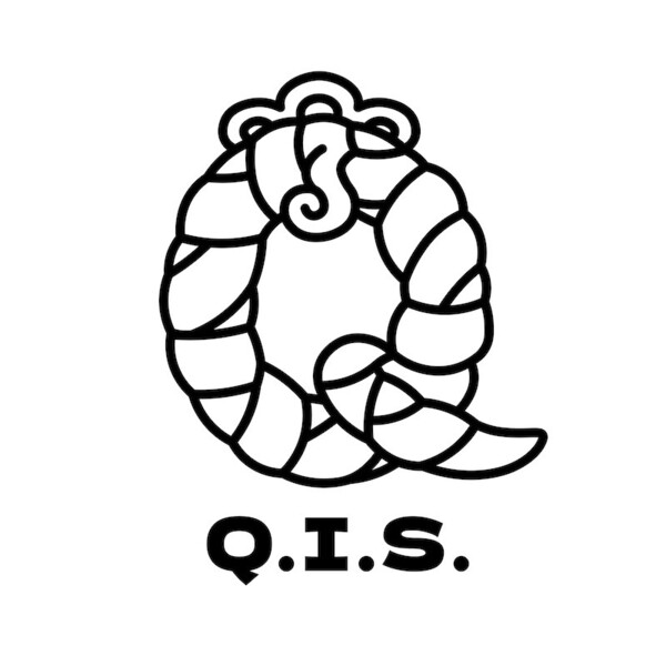 Q.I.S._logo_bk.jpg