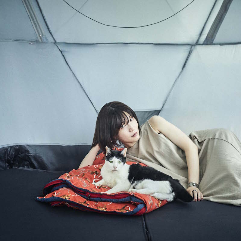 【廃盤希少 日本盤 新品未開封】那英(ナー・イン)『昼は夜の闇を知らない』 Nozomi Furukawa on X: 