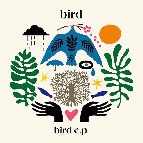 bird_birde.p._jk.jpg