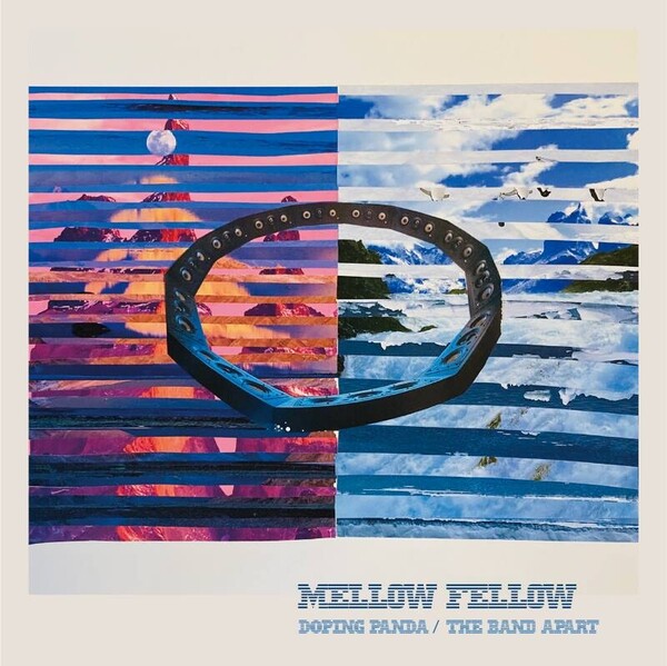 mellow-fellow-H1.jpg