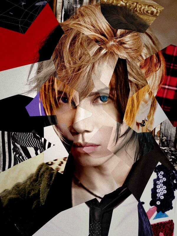 218231_Acid Black Cherry_Main_S.jpg