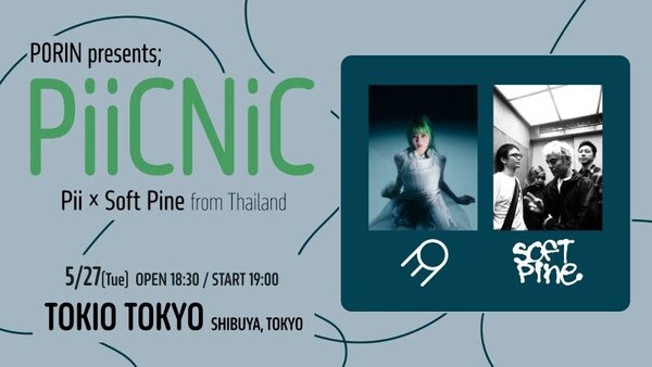 225681_PiiCNiC_fix.jpg
