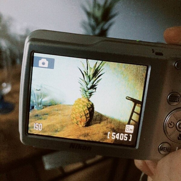 Pineapple_Artwork.jpg