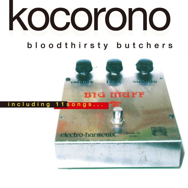kocoronoKICS-587.jpg
