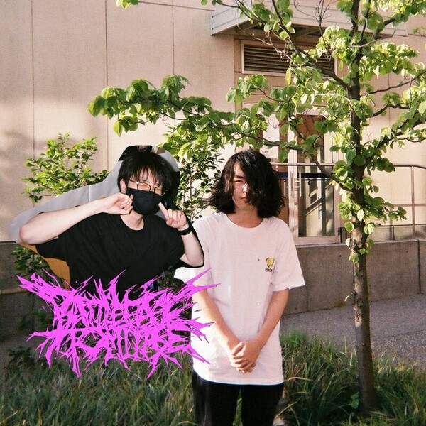 アー写.jpg