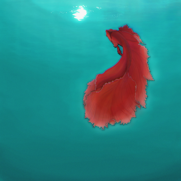 CLW_HALFMOONジャケ.png