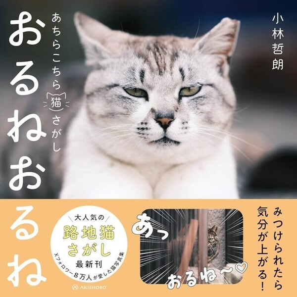 81opUrdFfYL._UF10001000_QL80_-800x800.jpg