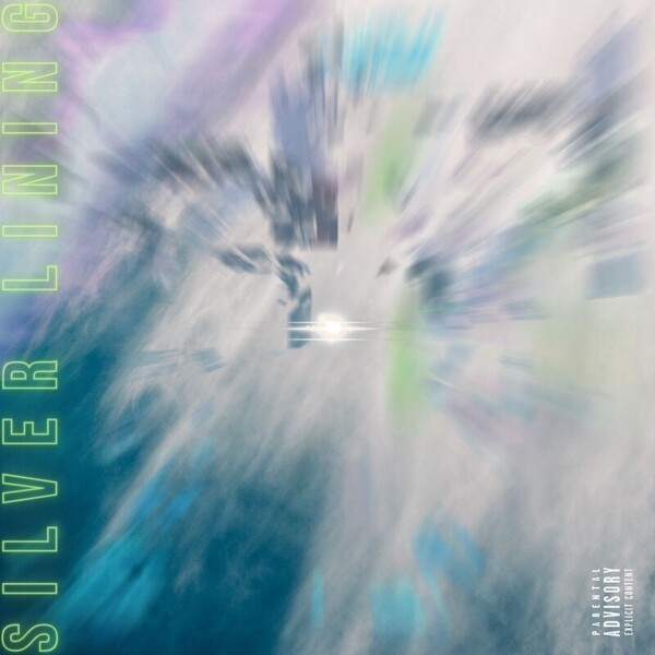 242231_Silver Lining Jacket.JPG