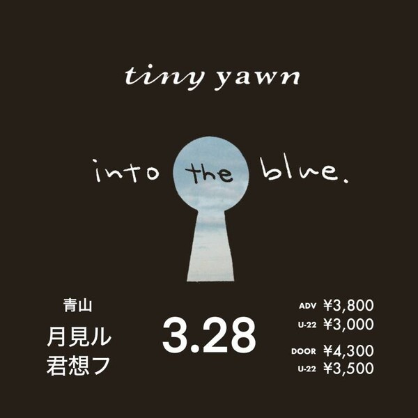 tiny yawn ワンマンフライヤー.jpg