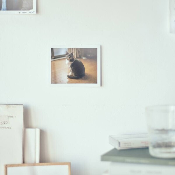 odol_slow blink_jacket S.jpg