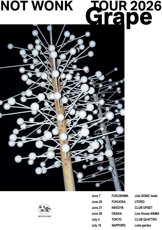 NOT WONK_TOURflyer.jpg