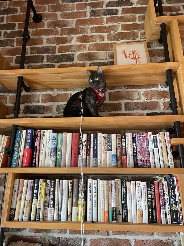 share_f_library2.jpeg