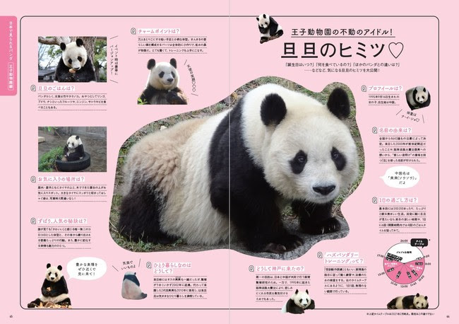 かわいすぎる！」の声が続々、SNSでも大反響！日本で会えるパンダ大